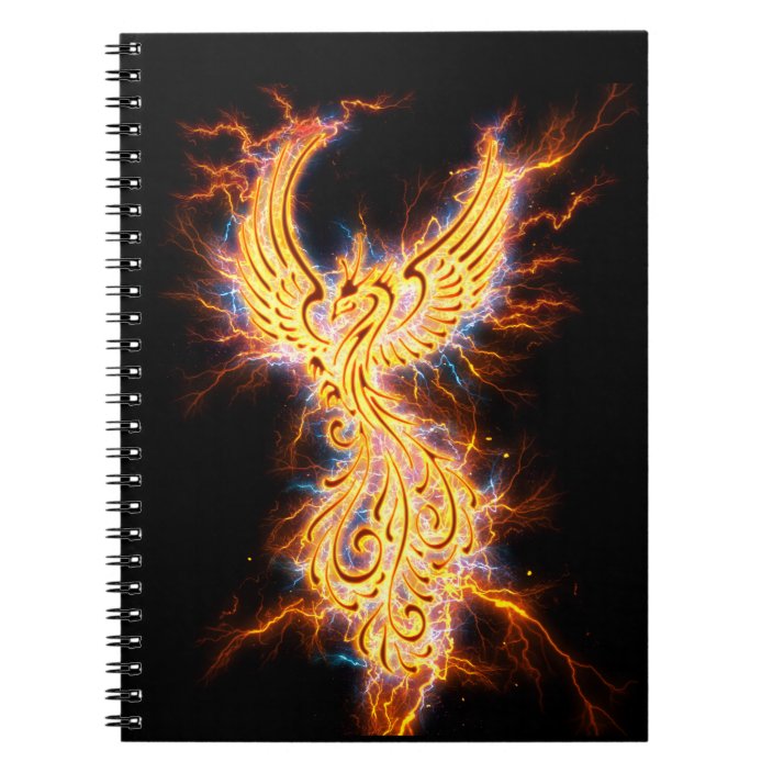 fenix 2 size