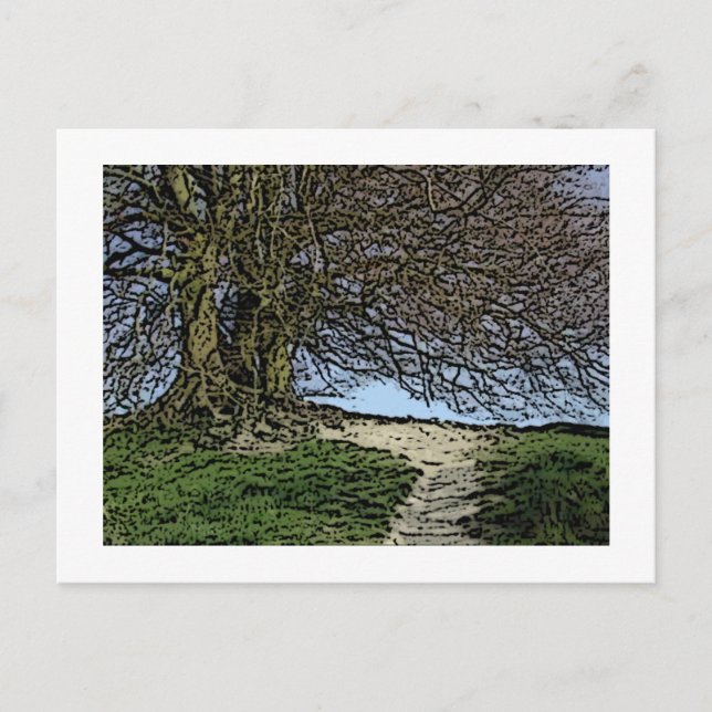 Avebury, Wiltshire, England. Tree and path. Postcard (Front)