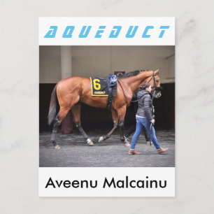 Aveenu Malcainu Postcard
