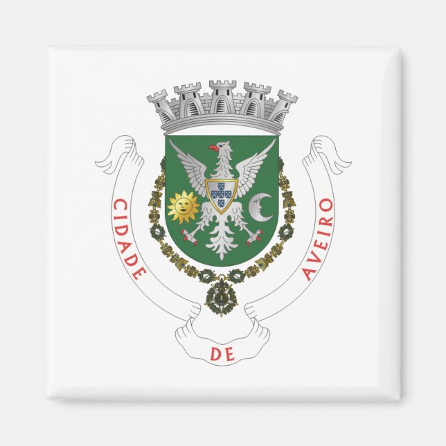 Aveiro, Portugal Magnet (Front)