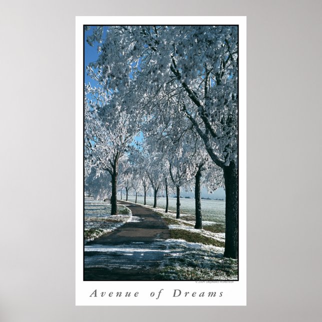 Avenue of Dreams Poster (Front)