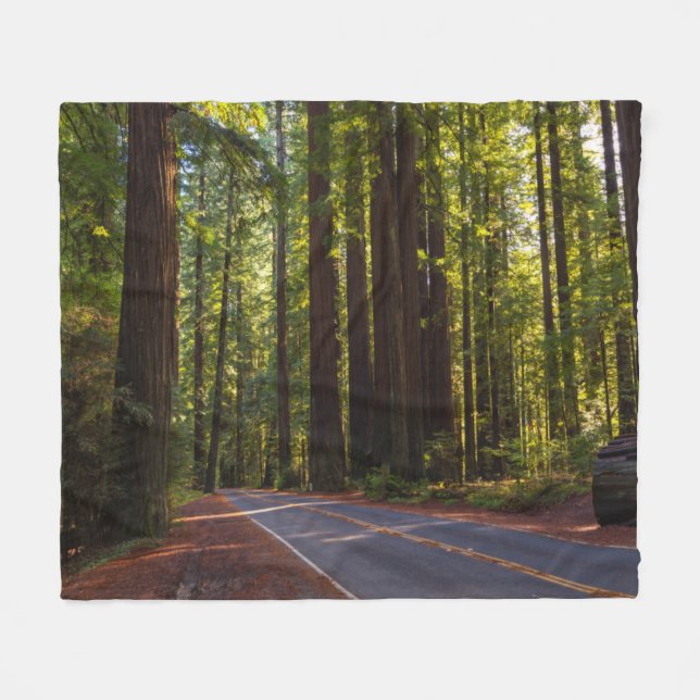 Avenue of Giant Redwood California Fleece Blanket (Front (Horizontal))