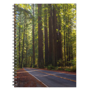 Avenue of Giant Redwood California Notebook