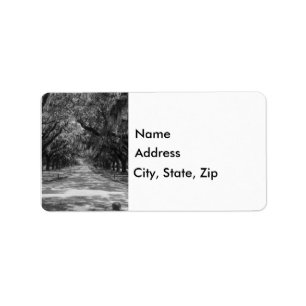 Avenue Of Oaks Grayscale Address Labels