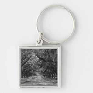 Avenue Of Oaks Grayscale Key Ring