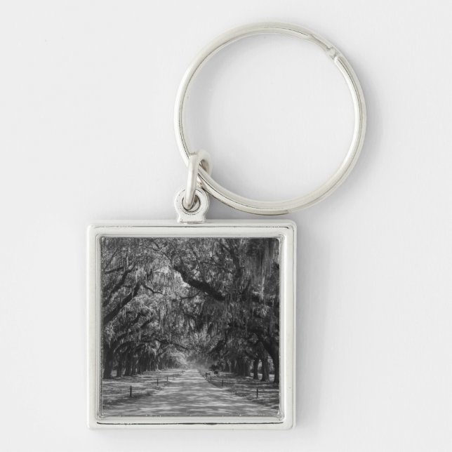 Avenue Of Oaks Grayscale Key Ring (Front)