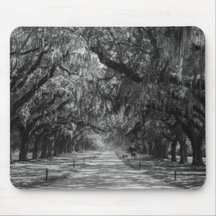 Avenue Of Oaks Grayscale Mouse Mat