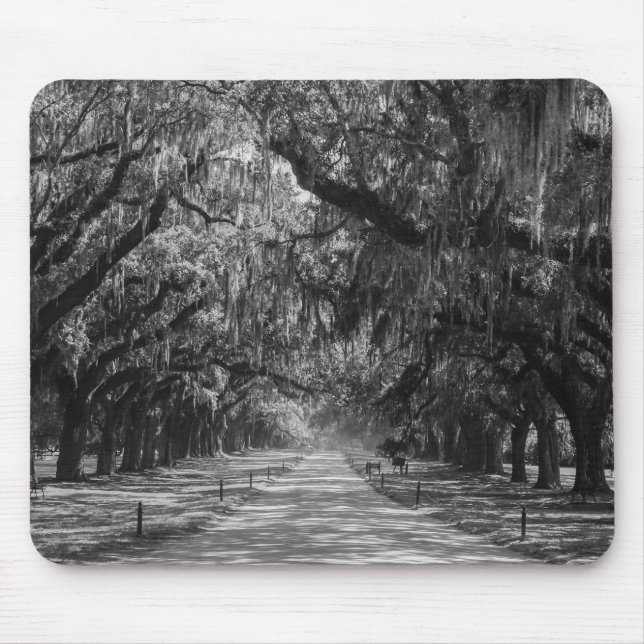 Avenue Of Oaks Grayscale Mouse Mat (Front)