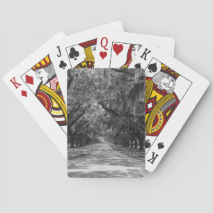 Avenue Of Oaks Grayscale Playing Cards