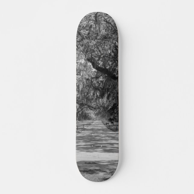 Avenue Of Oaks Grayscale Skateboard (Front)