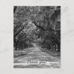 Avenue Of Oaks Grayscale Thank You Postcard