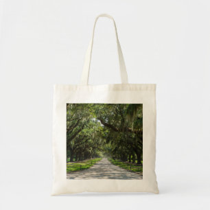 Avenue Of Oaks Tote Bag