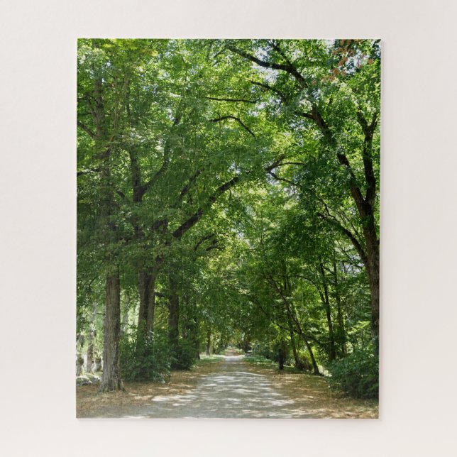 Avenue of plane trees jigsaw puzzle (Vertical)