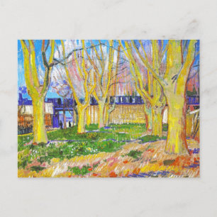 Avenue of Plane Trees near Arles Station by Vincen Postcard