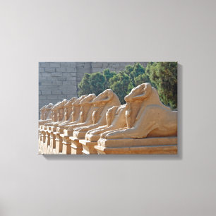 Avenue of Sphinxes in Karnak Temple - Egypt Canvas Print