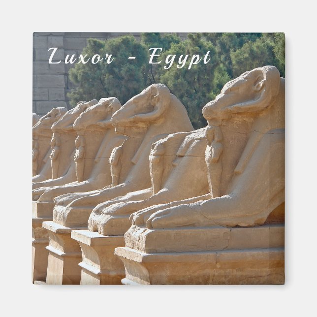 Avenue of Sphinxes in Karnak Temple - Egypt Magnet (Front)
