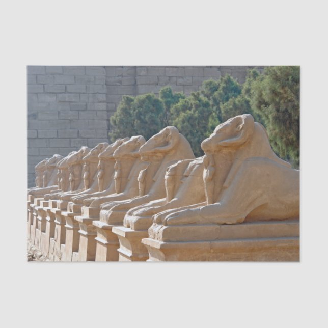 Avenue of Sphinxes in Karnak Temple - Egypt Tissue Paper (Front)