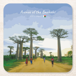 Avenue of the Baobabs, Madagascar - Landscape Square Paper Coaster