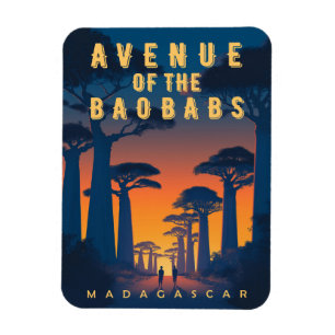 Avenue of the Baobabs Madagascar - Retro African  Magnet