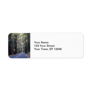 Avenue of the Giants- Humboldt Redwoods State Park