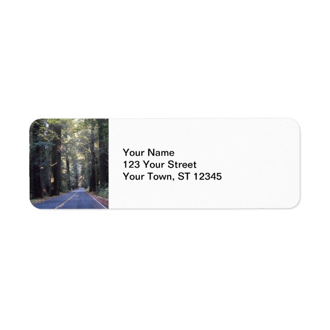 Avenue of the Giants- Humboldt Redwoods State Park (Front)