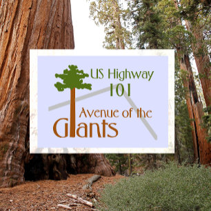 Avenue of the Giants Humboldt Redwoods State Park Postcard