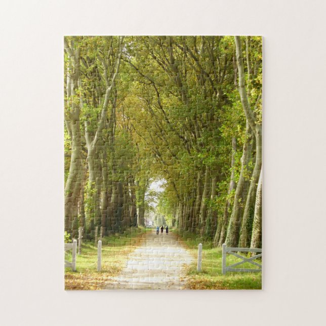 Avenue of Trees Photo Puzzle with Gift Box (Vertical)