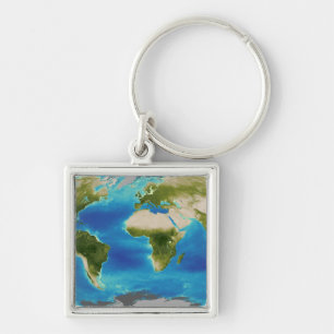 Average plant growth of the Earth Key Ring