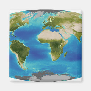 Average plant growth of the Earth Magnet