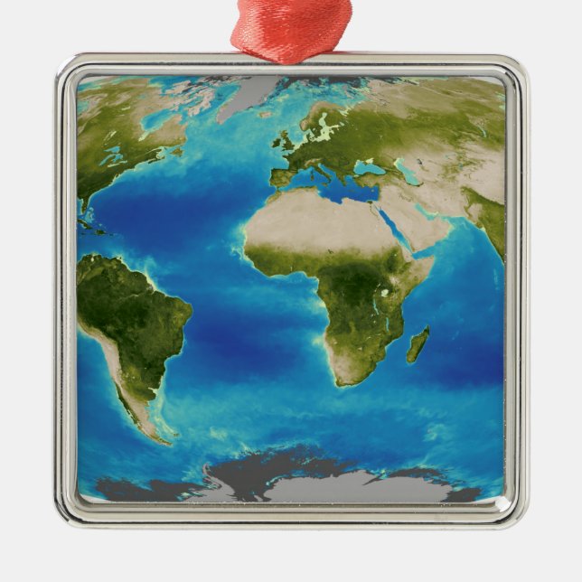Average plant growth of the Earth Metal Tree Decoration (Front)