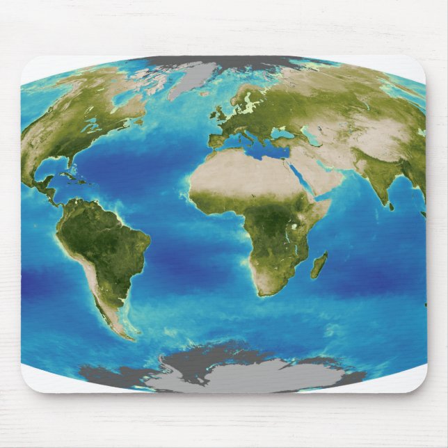 Average plant growth of the Earth Mouse Mat (Front)