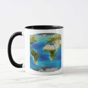 Average plant growth of the Earth Mug