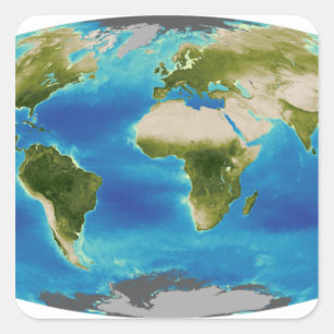 Average plant growth of the Earth Square Sticker