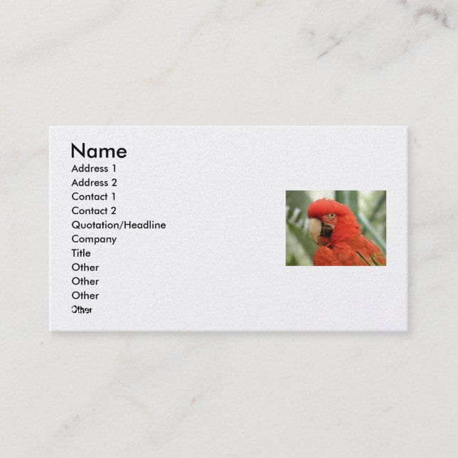 Avery Business Card (Front)
