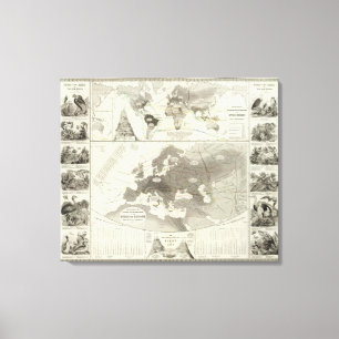 Aves, Birds Canvas Print