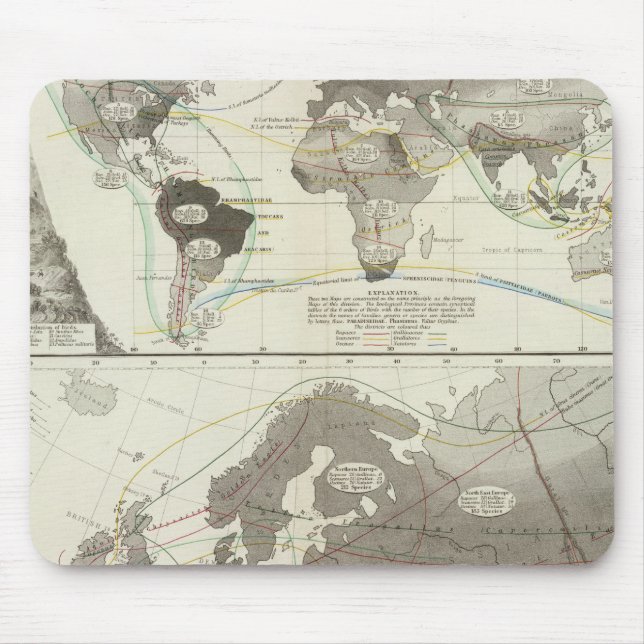 Aves, Birds Mouse Mat (Front)