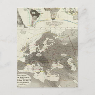 Aves, Birds Postcard