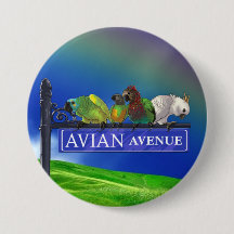 Avian Avenue Parrot Forum Button