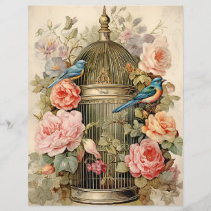 Avian Beauty Scrapbook Paper