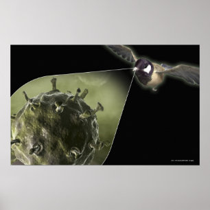 Avian flu coming out of bird poster