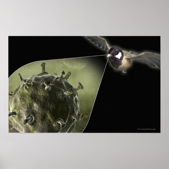 Avian flu coming out of bird poster (Front)