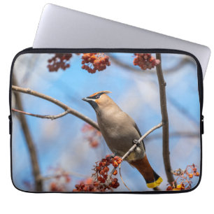 Avian Photography, Bohemian Waxwing Laptop Sleeve