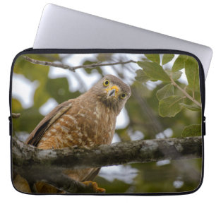 Avian Photography, Roadside Hawk Laptop Sleeve