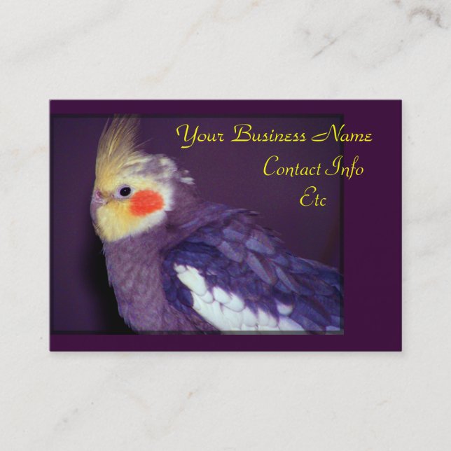 Aviary Business Cards (Front)
