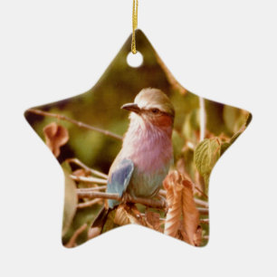 Aviary Ceramic Tree Decoration