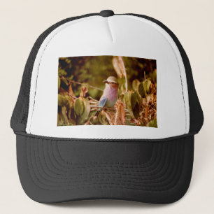 Aviary Trucker Hat