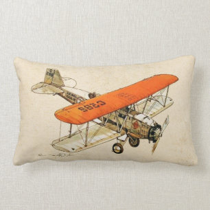 Aviation  design lumbar cushion