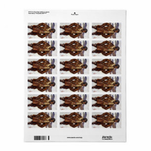 Aviator, 1917 by Joseph Christian Leyendecker Label