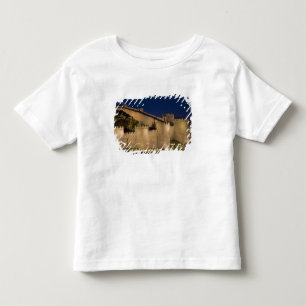 Avila, Castile and Leon, Spain Toddler T-Shirt