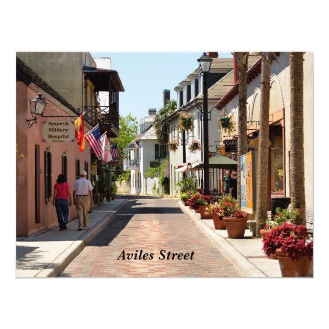 Aviles street St. Augustine, Florida Photo Print (Front)